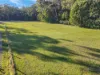 577 Elephant Pass Road, Gray, Tas 7215-Image