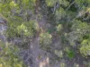 577 Elephant Pass Road, Gray, Tas 7215-Image