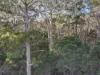 577 Elephant Pass Road, Gray, Tas 7215-Image