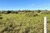 58 Bosanquet Boulevard, Ceduna Waters, SA 5690-Image
