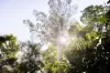 58 Hilltop Drive, Burnside, Qld 4560-Image
