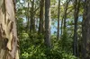 58 Kings Point Drive, Kings Point, NSW 2539-Image