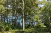 58 Kings Point Drive, Kings Point, NSW 2539-Image
