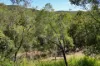 58 Seaspray Drive, Agnes Water, Qld 4677-Image