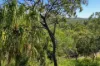 58 Seaspray Drive, Agnes Water, Qld 4677-Image