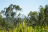 58 Seaspray Drive, Agnes Water, Qld 4677-Image