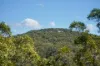 58 Seaspray Drive, Agnes Water, Qld 4677-Image