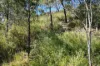 58 Seaspray Drive, Agnes Water, Qld 4677-Image