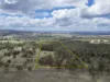 582 Wallarobba-Brookfield Road, Wallarobba, NSW 2420-Image