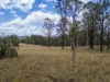 582 Wallarobba-Brookfield Road, Wallarobba, NSW 2420-Image