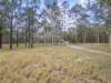 582 Wallarobba-Brookfield Road, Wallarobba, NSW 2420-Image