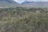 5821 Monto - Mount Perry Road, Mount Perry, Qld 4671