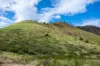 587 Lefthand Branch, Lefthand Branch, Qld 4343-Image
