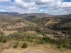 587 Lefthand Branch, Lefthand Branch, Qld 4343-Image