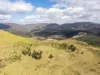 587 Lefthand Branch, Lefthand Branch, Qld 4343-Image