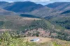 587 Lefthand Branch, Lefthand Branch, Qld 4343-Image