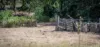 587 Lefthand Branch, Lefthand Branch, Qld 4343-Image