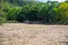 587 Lefthand Branch, Lefthand Branch, Qld 4343-Image