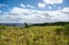 587 Lefthand Branch, Lefthand Branch, Qld 4343-Image