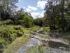 587 Lefthand Branch, Lefthand Branch, Qld 4343-Image