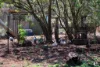 589 Millstream Parade, Millstream, Qld 4888-Image