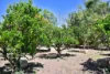 589 Millstream Parade, Millstream, Qld 4888-Image