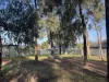 59 Browning Street, Kangaroo Flat, Vic 3555-Image