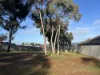 59 Browning Street, Kangaroo Flat, Vic 3555-Image