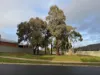 59 Browning Street, Kangaroo Flat, Vic 3555-Image