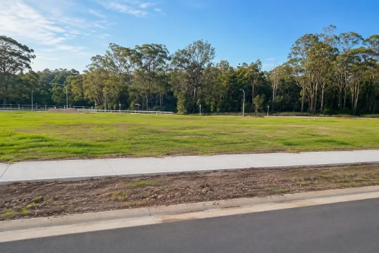 59 Caesar Boulevard, Edmondson Park, NSW 2174