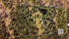 59 Irkanda Drive, Taree, NSW 2430-Image