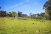596 Firebrace Track, Granya, Vic 3701-Image