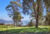 596 Firebrace Track, Granya, Vic 3701-Image