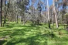 596 Firebrace Track, Granya, Vic 3701-Image