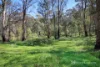 596 Firebrace Track, Granya, Vic 3701-Image