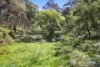 596 Firebrace Track, Granya, Vic 3701-Image