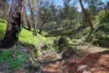 596 Firebrace Track, Granya, Vic 3701-Image