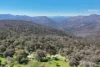 596 Firebrace Track, Granya, Vic 3701-Image