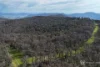 596 Firebrace Track, Granya, Vic 3701-Image