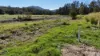5965 Mackay Eungella Road, Netherdale, Qld 4756-Image