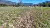5965 Mackay Eungella Road, Netherdale, Qld 4756-Image