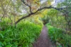 5a James Avenue, Kingston Beach, Tas 7050-Image