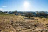 6 Achaderry Court, Howrah, Tas 7018-Image