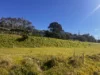 6 Azzure Vista, Boat Harbour Beach, Tas 7321