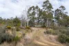 6 Brewis Place, Lake Leake, Tas 7210-Image
