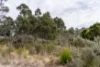 6 Brewis Place, Lake Leake, Tas 7210-Image