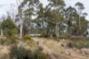6 Brewis Place, Lake Leake, Tas 7210-Image