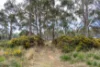 6 Brewis Place, Lake Leake, Tas 7210-Image