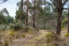 6 Brewis Place, Lake Leake, Tas 7210-Image