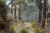 6 Brewis Place, Lake Leake, Tas 7210-Image